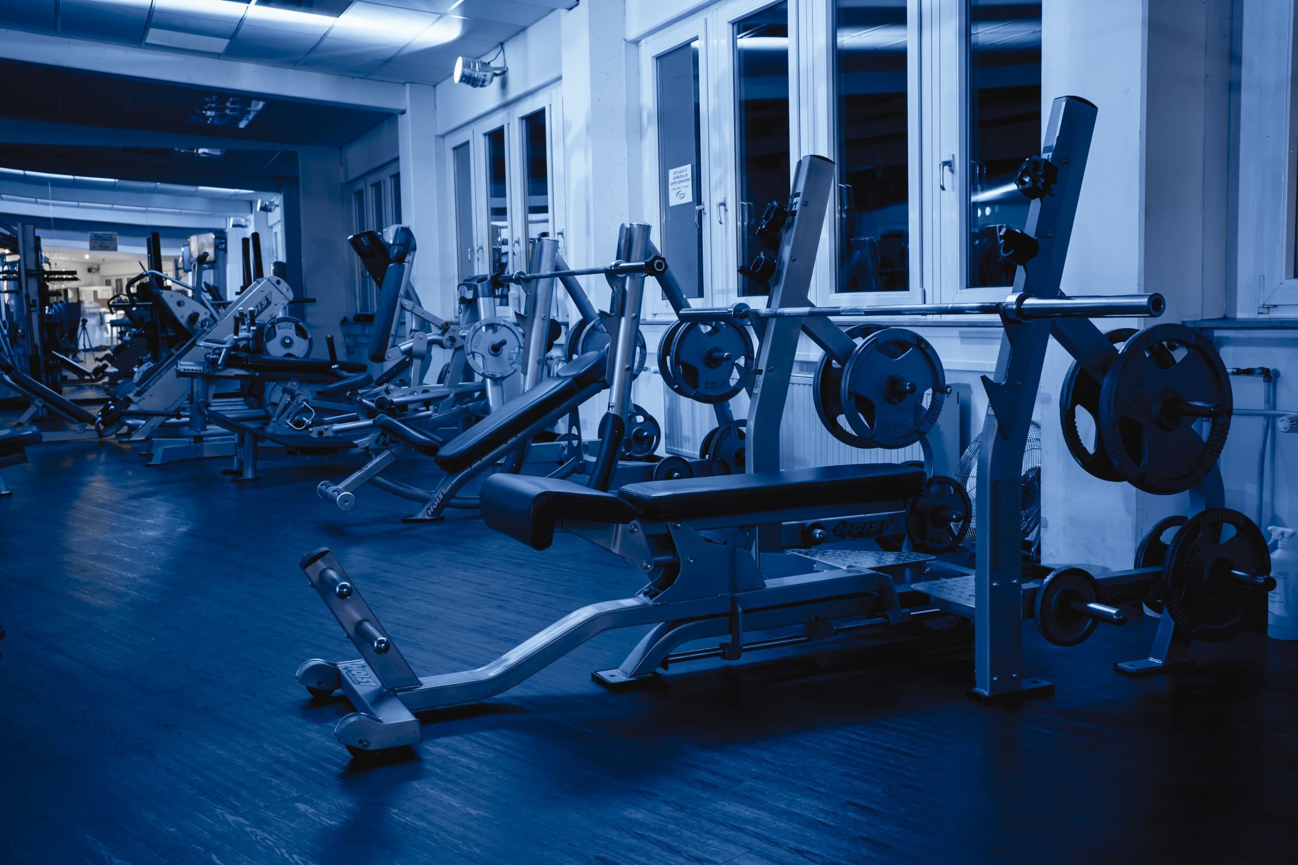 Freihantelbereich – Schwaben Fitness